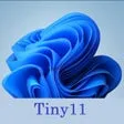 Tiny11