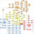 Mind Map X Pro