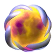 MÃ©tamorphose