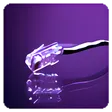 Show My IP