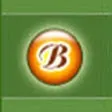 Banner Designer Pro