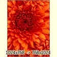 Easy Image Modifier