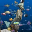 Big Kahuna Reef
