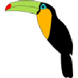 Toucan