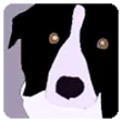 Rotoscope
