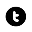 MetroTwit
