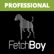 FetchBoy Professional