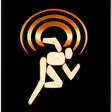 NetSurveyor