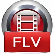 4Videosoft FLV to Video Converter