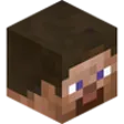 Minecraft Skin Viewer