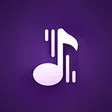 Play Your Music Pro