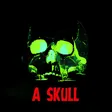 A Skull