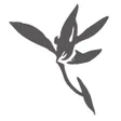 Blumind