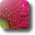 Perfect Resize