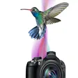 Corel Aftershot Pro 32-bit