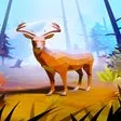 Wild Life Rescue