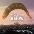 What Lives Below