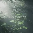 Wakamarina Valley New Zealand