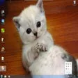 Flickr Wallpaper Rotator