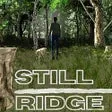 Still Ridge