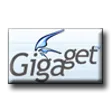 GigaGet