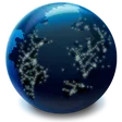 Firefox Nightly