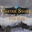 Carter Story / å¡ç¹åé©