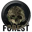 The Forest