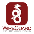WireGuard