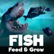 Feed and Grow: Fish