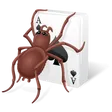Free Spider Solitaire 2020