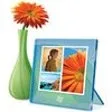 Windows Live Photo Gallery 2012