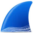 Wireshark