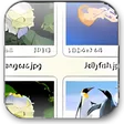 FastStone Image Viewer