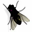 Fly on Desktop