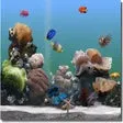 SereneScreen Marine Aquarium