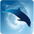 DBDesigner