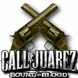 Call of Juarez - Bound in Blood