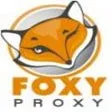 FoxyProxy Extension