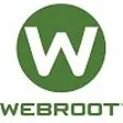 Webroot SecureAnywhere AntiVirus