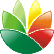 EximiousSoft Logo Designer