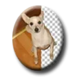 Background Remover