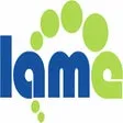 LAME (Lame Aint an MP3 Encoder)