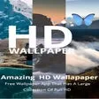 Wallpaper Studio 10