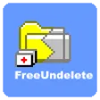 FreeUndelete