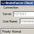 BruteForcer