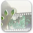 WinX Video Converter