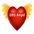 DNS Angel