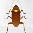 Cockroach on Desktop