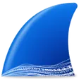 Wireshark